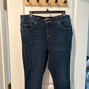 Torrid Dark Blue Skinny Jeans